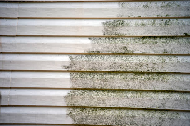 Affordable siding repair and maintenance services in Mayville, ND