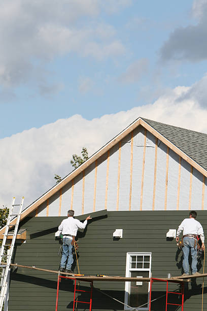 Best Residential Vinyl Siding Installation  in Mayville, ND